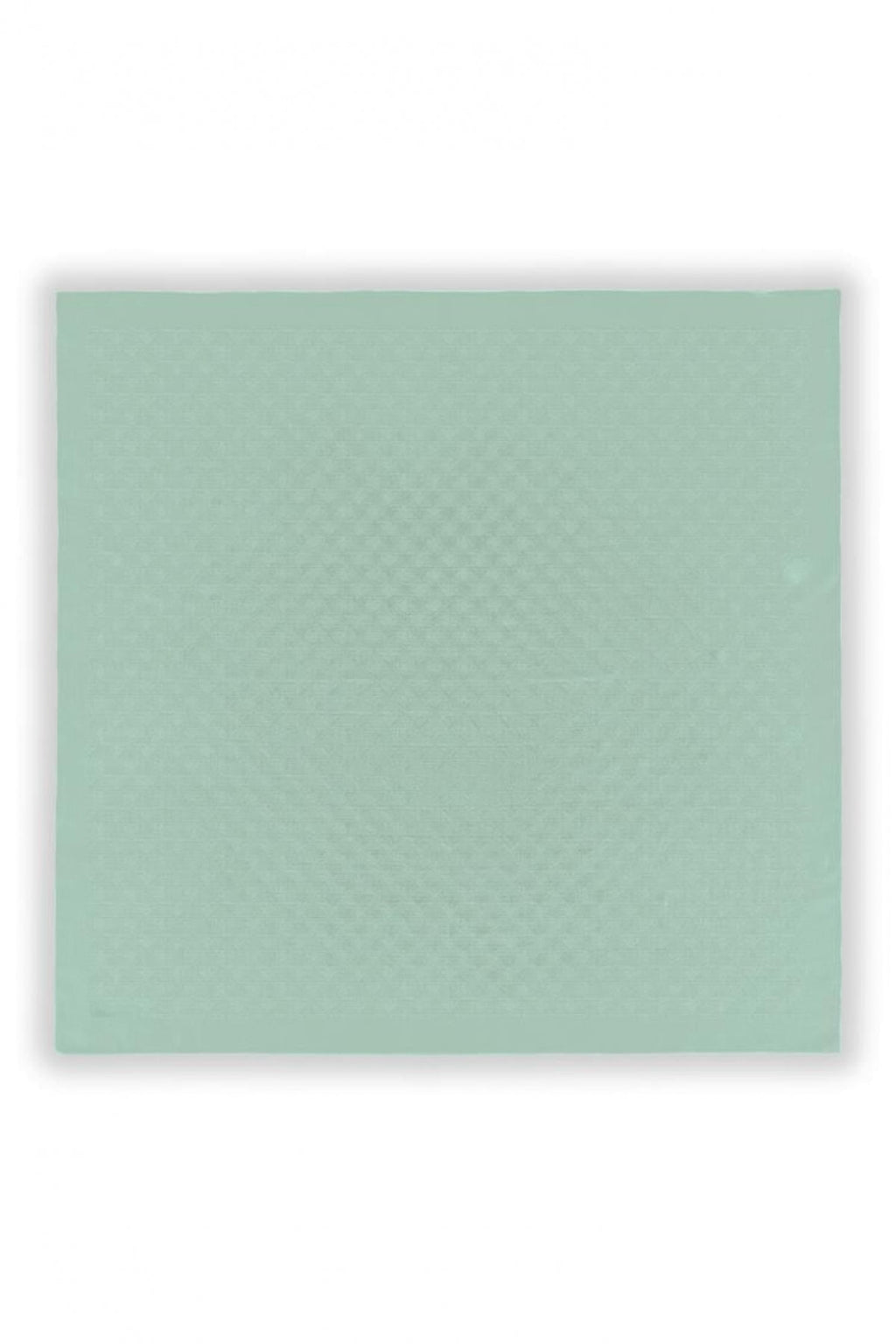 Z Monogram Rüya Mint Eşarp 0085