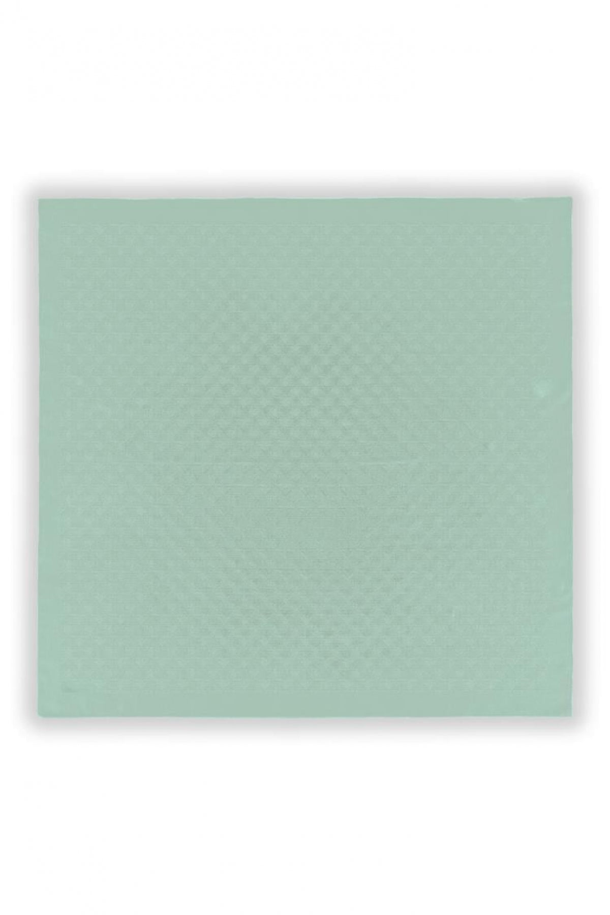 Z Monogram Rüya Mint Eşarp 0085